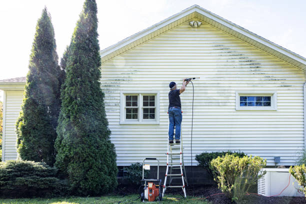 Best Rust Removal  in St Augustine Beach, FL